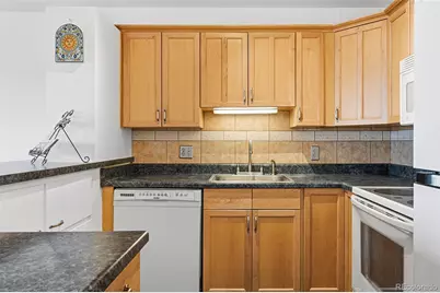 1223 Race Street #803, Denver, CO 80206 - Photo 20