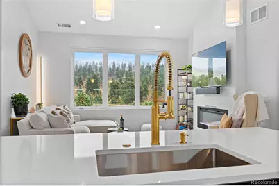 31161 Black Eagle Drive #301, Evergreen, CO 80439 - Photo 2