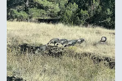 13045 Picketwire Road, Boncarbo, CO 81024 - Photo 38