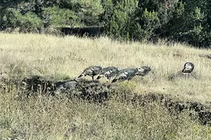 13045 Picketwire Rd, Boncarbo, CO 81024 - Photo 38