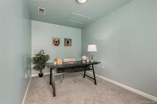 8614 Gold Peak Dr, Highlands Ranch, CO 80130 - Photo 28