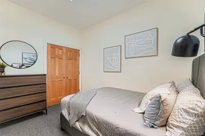 2955 N Columbine Street, Denver, CO 80205 - Photo 20