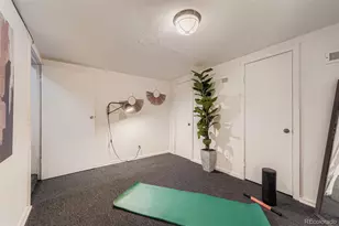 2955 N Columbine St, Denver, CO 80205 - Photo 22