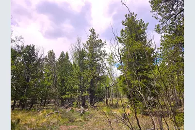 Pcs#38033 Foxtail Drive, Fairplay, CO 80440 - Photo 36