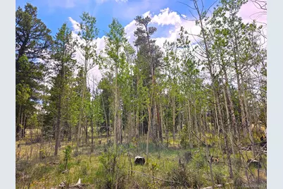 Pcs#38033 Foxtail Drive, Fairplay, CO 80440 - Photo 34