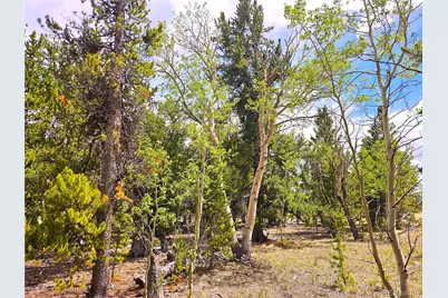 Pcs#38033 Foxtail Drive, Fairplay, CO 80440 - Photo 4