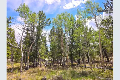 Pcs#38033 Foxtail Drive, Fairplay, CO 80440 - Photo 24