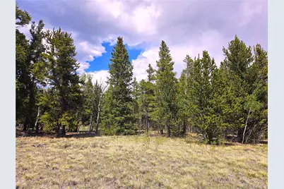 Pcs#38033 Foxtail Drive, Fairplay, CO 80440 - Photo 42