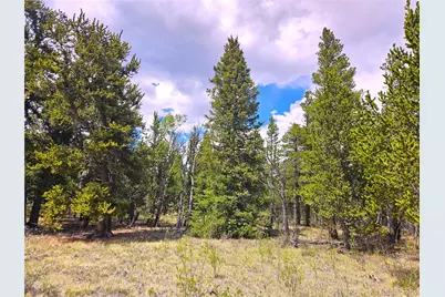 Pcs#38033 Foxtail Drive, Fairplay, CO 80440 - Photo 40