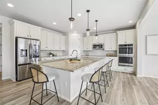 6688 Leilani Dr, Castle Rock, CO 80108 - Photo 8