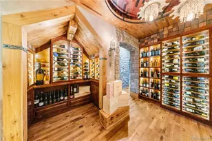 10785 Sundial Rim Rd, Highlands Ranch, CO 80126 - Photo 28