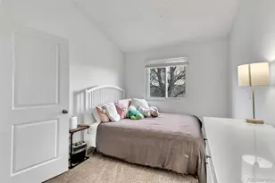 8688 Apache Plume Dr, Parker, CO 80134 - Photo 12