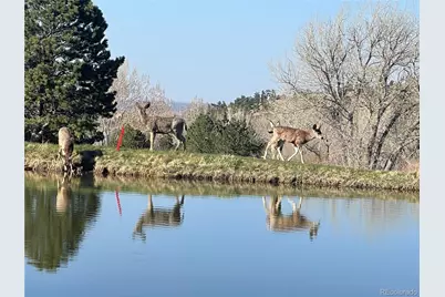 6405 Eagle Feather Trail, Littleton, CO 80125 - Photo 44