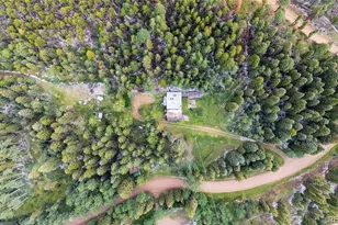 11173 S Barney Gulch Rd, Conifer, CO 80433 - Photo 10
