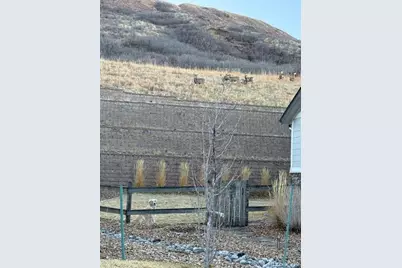 3248 McCracken Lane, Castle Rock, CO 80104 - Photo 28