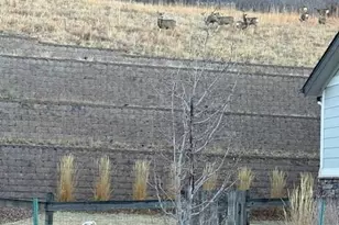 3248 McCracken Ln, Castle Rock, CO 80104 - Photo 28