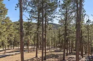 31634 Ponderosa Way, Evergreen, CO 80439 - Photo 38