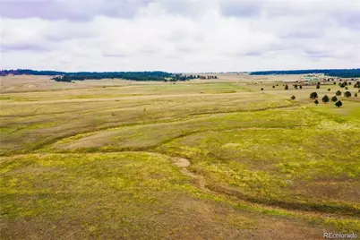 14700 Arfsten Road, Larkspur, CO 80118 - Photo 28