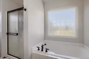 453 Wrybill Ct, Loveland, CO 80537 - Photo 22