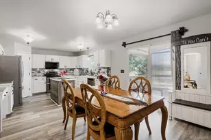 453 Wrybill Ct, Loveland, CO 80537 - Photo 12