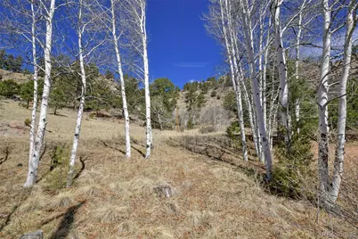 221 Floresta, Florissant, CO 80816 - Photo 2