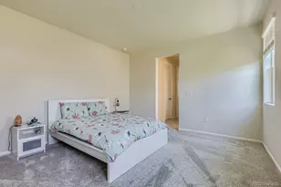 9802 Cathay St, Commerce City, CO 80022 - Photo 16