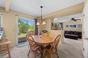 8979 Goosander Way, Littleton, CO 80126 - Photo 6