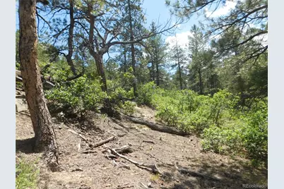 4977 Mohawk Drive, Larkspur, CO 80118 - Photo 26