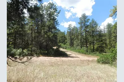 4977 Mohawk Drive, Larkspur, CO 80118 - Photo 16