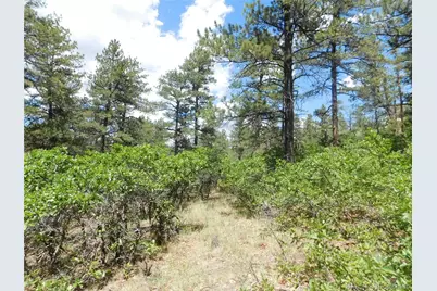 4977 Mohawk Drive, Larkspur, CO 80118 - Photo 20