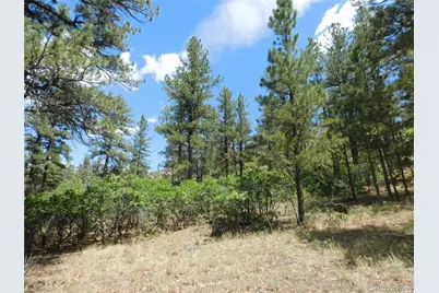 4977 Mohawk Drive, Larkspur, CO 80118 - Photo 18