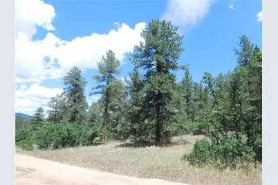 4977 Mohawk Drive, Larkspur, CO 80118 - Photo 6