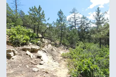 4977 Mohawk Drive, Larkspur, CO 80118 - Photo 28