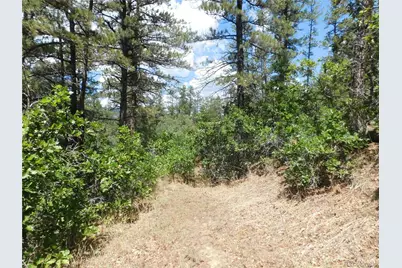 4977 Mohawk Drive, Larkspur, CO 80118 - Photo 22