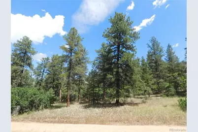 4977 Mohawk Drive, Larkspur, CO 80118 - Photo 8