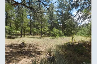4977 Mohawk Drive, Larkspur, CO 80118 - Photo 14