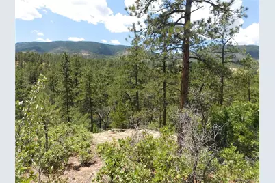 4977 Mohawk Drive, Larkspur, CO 80118 - Photo 44