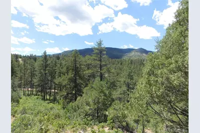 4977 Mohawk Drive, Larkspur, CO 80118 - Photo 34