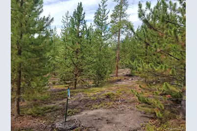65 Grand County Road 6621, Grand Lake, CO 80447 - Photo 2