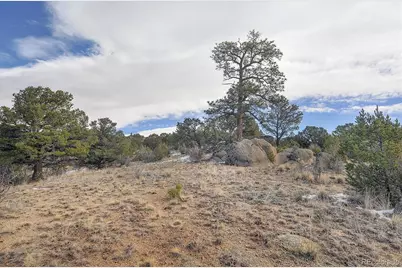 31950 Forest Service Road 376, Buena Vista, CO 81211 - Photo 18