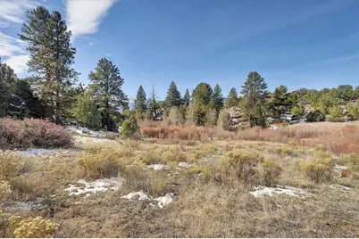 31950 Forest Service Road 376, Buena Vista, CO 81211 - Photo 40