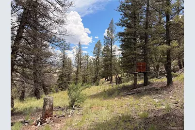 1348 Middle Fork Vista, Fairplay, CO 80440 - Photo 24