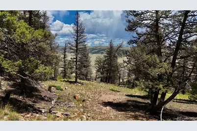 1348 Middle Fork Vista, Fairplay, CO 80440 - Photo 6
