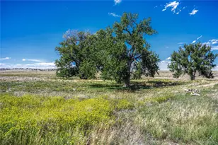 Fiddleback Ranch Rd, Kiowa, CO 80117 - Photo 14