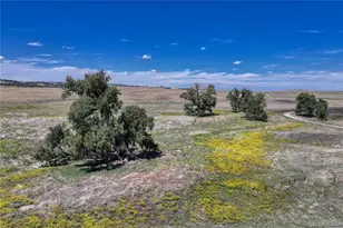 Fiddleback Ranch Rd, Kiowa, CO 80117 - Photo 4