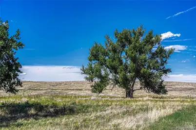 Fiddleback Ranch Road, Kiowa, CO 80117 - Photo 18