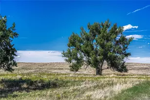 Fiddleback Ranch Rd, Kiowa, CO 80117 - Photo 18