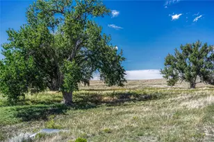 Fiddleback Ranch Rd, Kiowa, CO 80117 - Photo 16