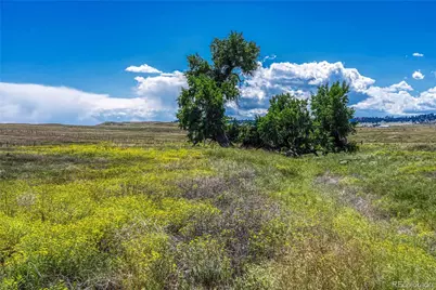 Fiddleback Ranch Road, Kiowa, CO 80117 - Photo 22