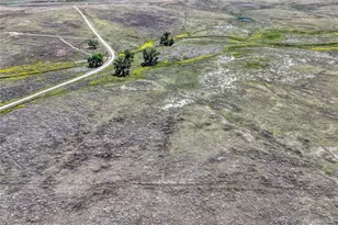 Fiddleback Ranch Rd, Kiowa, CO 80117 - Photo 12